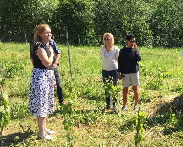 Klubbmøte onsdag 3. mai 2017