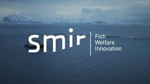 Bedriftsbesøk hos Smir